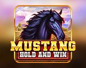 Mustang Hold and Win Mustang Hold and Win